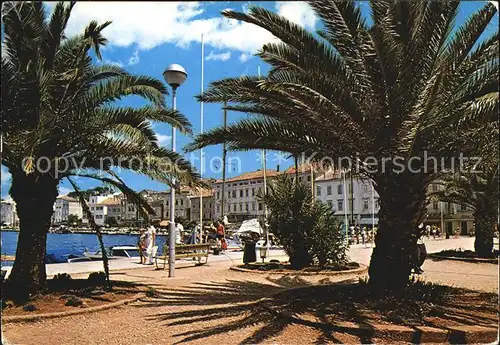 Mali Losinj Uferpromenade Palmen Kat. Kroatien