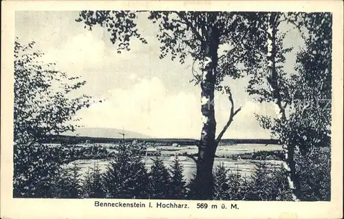 Benneckenstein Harz Hochharz