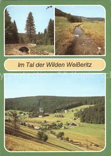 Dippoldiswalde Osterzgebirge Tal der Wilden Weisserlitz Kat. Dippoldiswalde