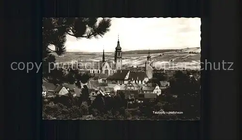 Tauberbischofsheim Teilansicht Kirche Kat. Tauberbischofsheim