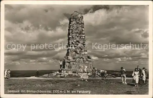 Feldberg Schwarzwald Seebuck mit Bismarckdenkmal Kat. Feldberg (Schwarzwald)