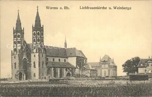 Worms Rhein Liebfrauenkirche und Weinberge Kat. Worms