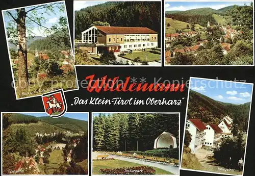 Wildemann Kirche Kurhaus Teilansicht Spiegeltal Kurpark Kat. Wildemann Harz
