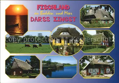 Darss Zingst Fischland an Bodden und Meer Teilansichten