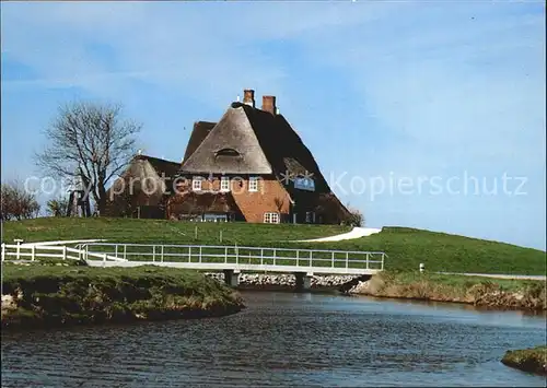 Hallig Hooge Kirchwarft Kat. Hooge