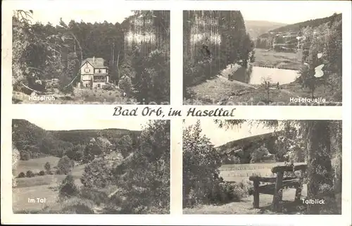 Bad Orb Haselruh Haselquelle Talblick Landschaft Kat. Bad Orb
