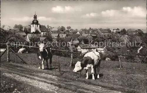 Vielbrunn Ortsansicht mit Kirche Hoehenluftkurort Kuehe Kat. Michelstadt