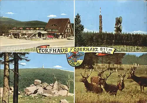 Torfhaus Harz Sporthotel Brockenblick Aussichtspunkt Sendeturm Rotwild Hirsche Kat. Altenau