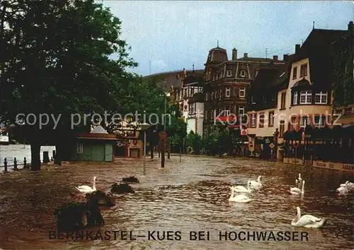 Bernkastel Kues Moselufer bei Hochwasser Schwaene Katastrophe Kat. Bernkastel Kues