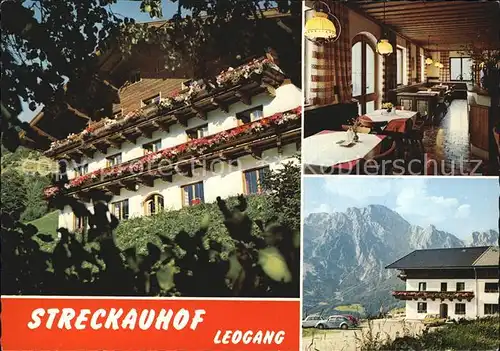 Leogang Gasthof Pension Streckauhof Kat. Leogang