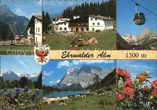 Ehrwald Tirol Weide Teilansicht Panorama Gondel / Ehrwald /