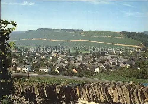 Muelheim Mosel Panorama Kat. Muelheim (Mosel)