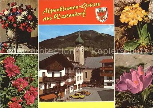 Westendorf Tirol Alpenflora Dorfpartie mit Kirche Kat. Westendorf