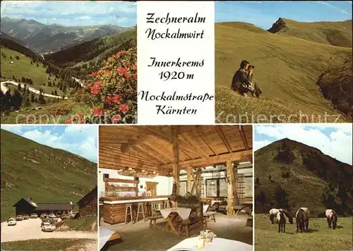 Innerkrems Kremsbruecke Panorama Berggasthaus Zechneralm Gastraum Viehweide