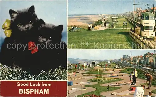 Bispham Mini Golf Queens Promenade Kat. Blackpool