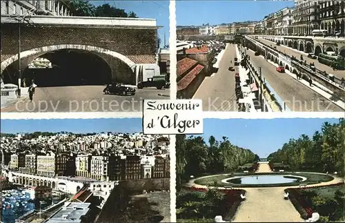 El Djezair Stadtansicht Park Kat. Algier Algerien