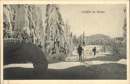 Lusenschutzhaus Langlauf Waldhaeuser Lusen Kat. Neuschoenau