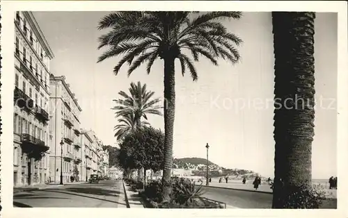 Nice Alpes Maritimes Quai des Etats Unis et le Mont Boron Palmiers Cote d Azur Kat. Nice