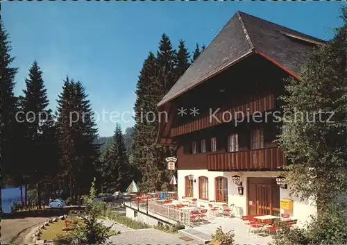 Altglashuetten Hotel Pension Seehof Windgfaellweiher Terrasse Kat. Feldberg (Schwarzwald)