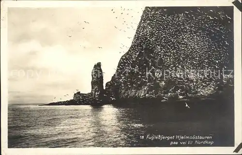 Nordkap Norge Fuglebjerget Hjelmsoestauren Kat. Norwegen