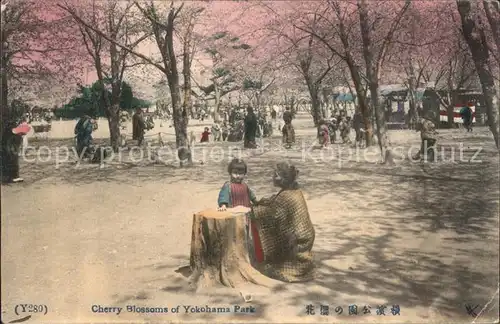 Japan Cherry Blossoms of Yokohama Park Kat. Japan