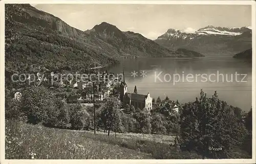 Weggis LU Gesamtansicht Vierwaldstaettersee Alpenpanorama Kat. Weggis