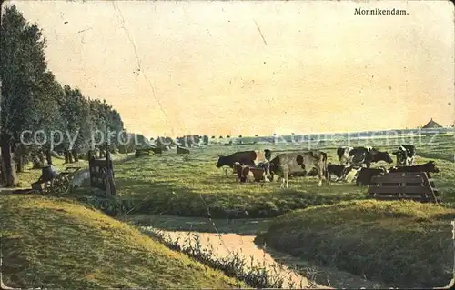 Monnickendam Panorama Landschaft Viehweide Kuehe Kat. Niederlande