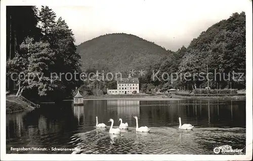 Bergzabern Bad Schwanenweiher Kat. Bad Bergzabern