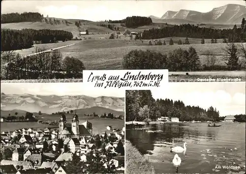 Lindenberg Allgaeu Dt Alpenstrasse Ortsansicht Waldsee Schwaene Kat. Lindenberg i.Allgaeu