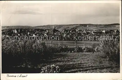 Barntrup Panorama Kat. Barntrup