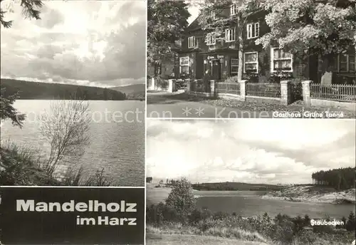 Mandelholz Harz Gasthaus Gruene Tanne Staubecken Kat. Elend Harz