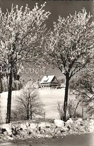 Saig Schwarzwald Cafe Alpenblick Pension Winterlandschaft Kat. Lenzkirch