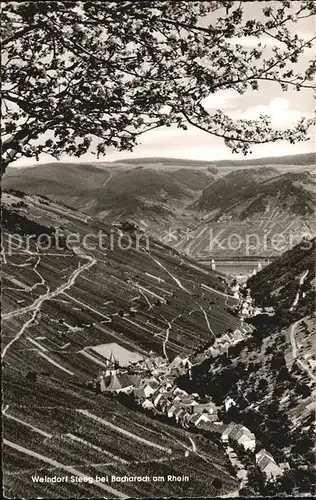 Steeg Bacharach Panorama Weindorf mit Blick zum Rhein Weinberge Kat. Bacharach