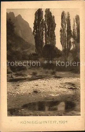 Koenigswinter Landschaft Pappeln Photogravur Kat. Koenigswinter