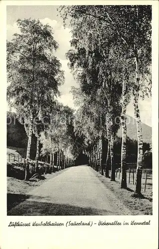 Wenholthausen Birkenallee im Wennetal Kat. Eslohe (Sauerland)