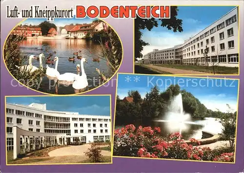 Bodenteich Schwaene Luftkurort Kneipp Ortsansichten Kat. Bad Bodenteich