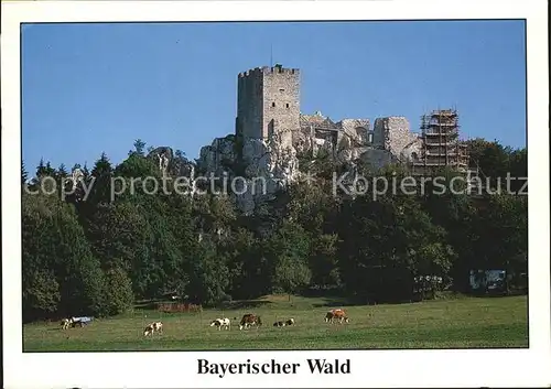 Regen Burgruine Weissenstein Kat. Regen