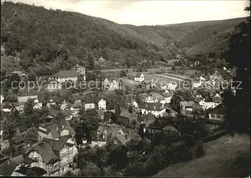 Schwarzburg Thueringer Wald Blick ueber die Stadt Kat. Schwarzburg