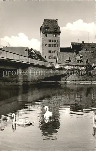 Hersbruck Wassertor Schwaene Kat. Hersbruck