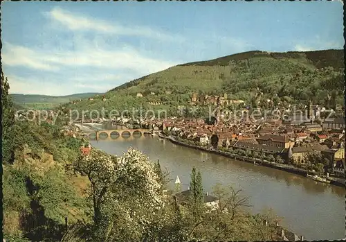 Heidelberg Neckar Blick vom Philosophenweg Kat. Heidelberg