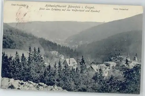 Baerenfels Erzgebirge  / Altenberg /Saechsische Schweiz-Osterzgebirge LKR