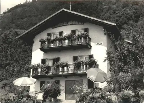 Dorf Tirol Pension Waldheim Kat. Tirolo
