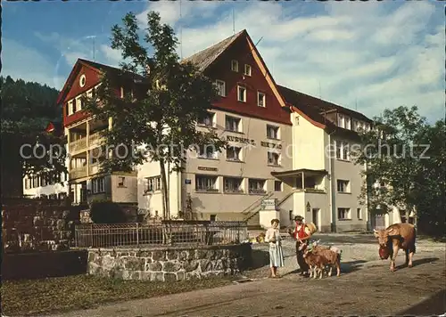 Rietbad Hotel Kurhaus Tracht Kuehe Kat. Nesslau