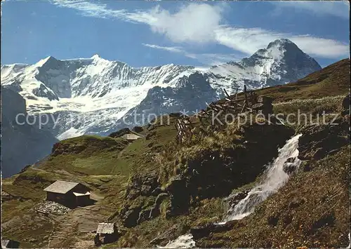 Grindelwald First mit Bachlaeger Fiescherhorn und Eiger Kat. Grindelwald
