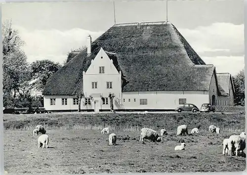 Husum Nordfriesland Gaststaette Roter Haubarg x / Husum /Nordfriesland LKR