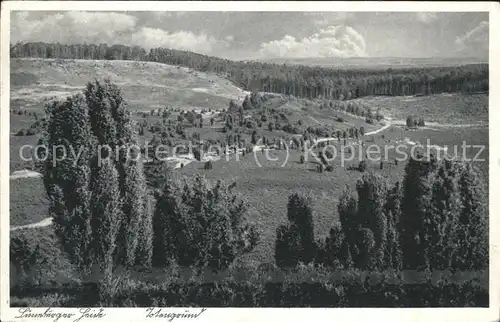 Lueneburger Heide Totengrund Kat. Walsrode