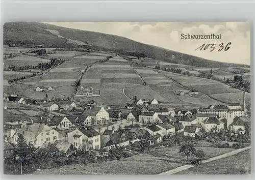 Haidmuehle Schwarzenthal ungelaufen ca. 1910 / Haidmuehle /Freyung-Grafenau LKR