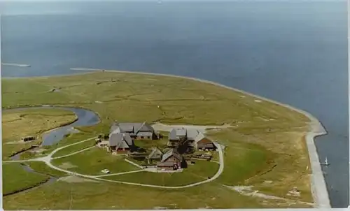 Hooge Hallig Hooge Hallig Fliegeraufnahme * / Hooge /Nordfriesland LKR