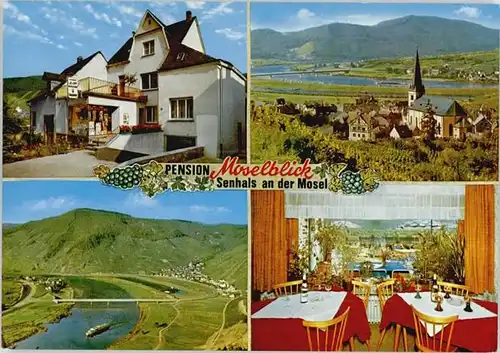 Senheim-Senhals Pension Moselblick * / Senheim /Cochem-Zell LKR