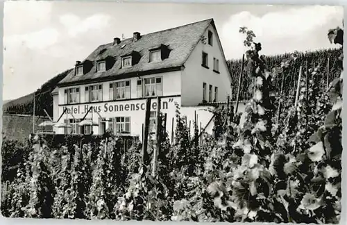 uerzig Hotel Haus Sonnenschein x / uerzig /Bernkastel-Wittlich LKR